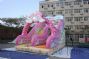china new cat inflatable slide